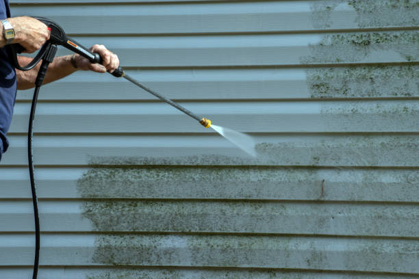 Best Pressure Washing Near Me  in Moreauville, LA