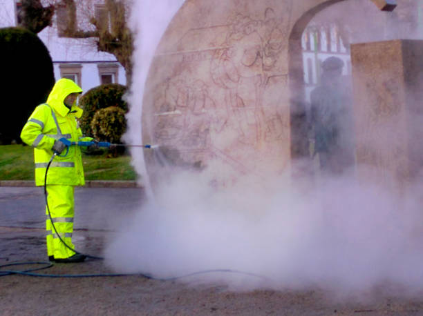 Best Best Pressure Washing Companies  in Moreauville, LA